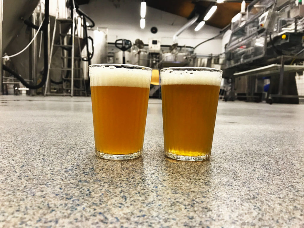 Two glasses of beer on the Beerbliotek Brewery floor. On the left is a hazy New England IPA and on the right is a clear West Coast IPA.